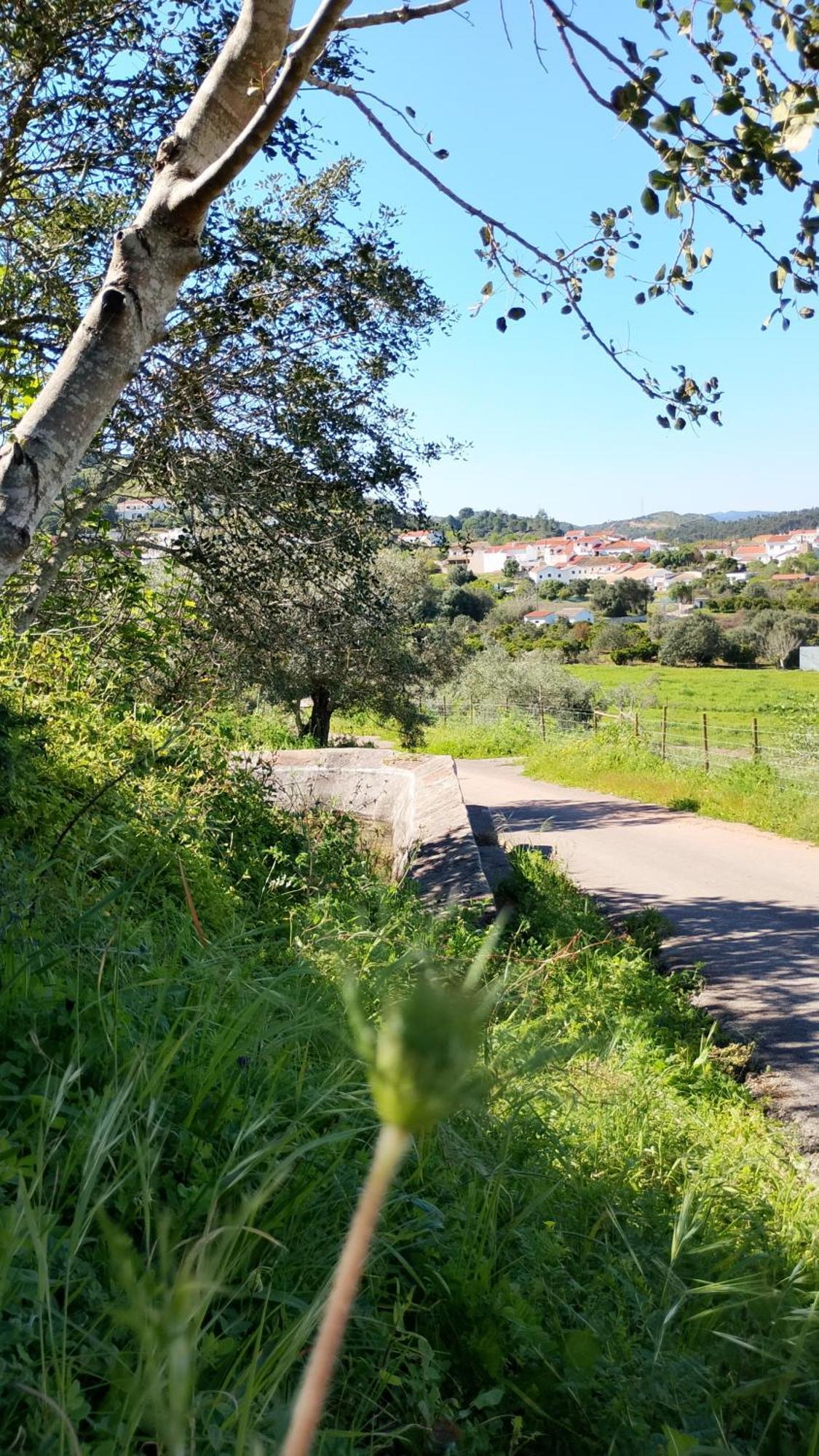 Paraiso Da Aldeia Сан-Бартоломеу-де-Месінеш Екстер'єр фото